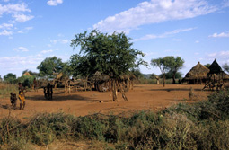 Ostafrika, thiopien: Expedition ins Land der Surma - Httendorf